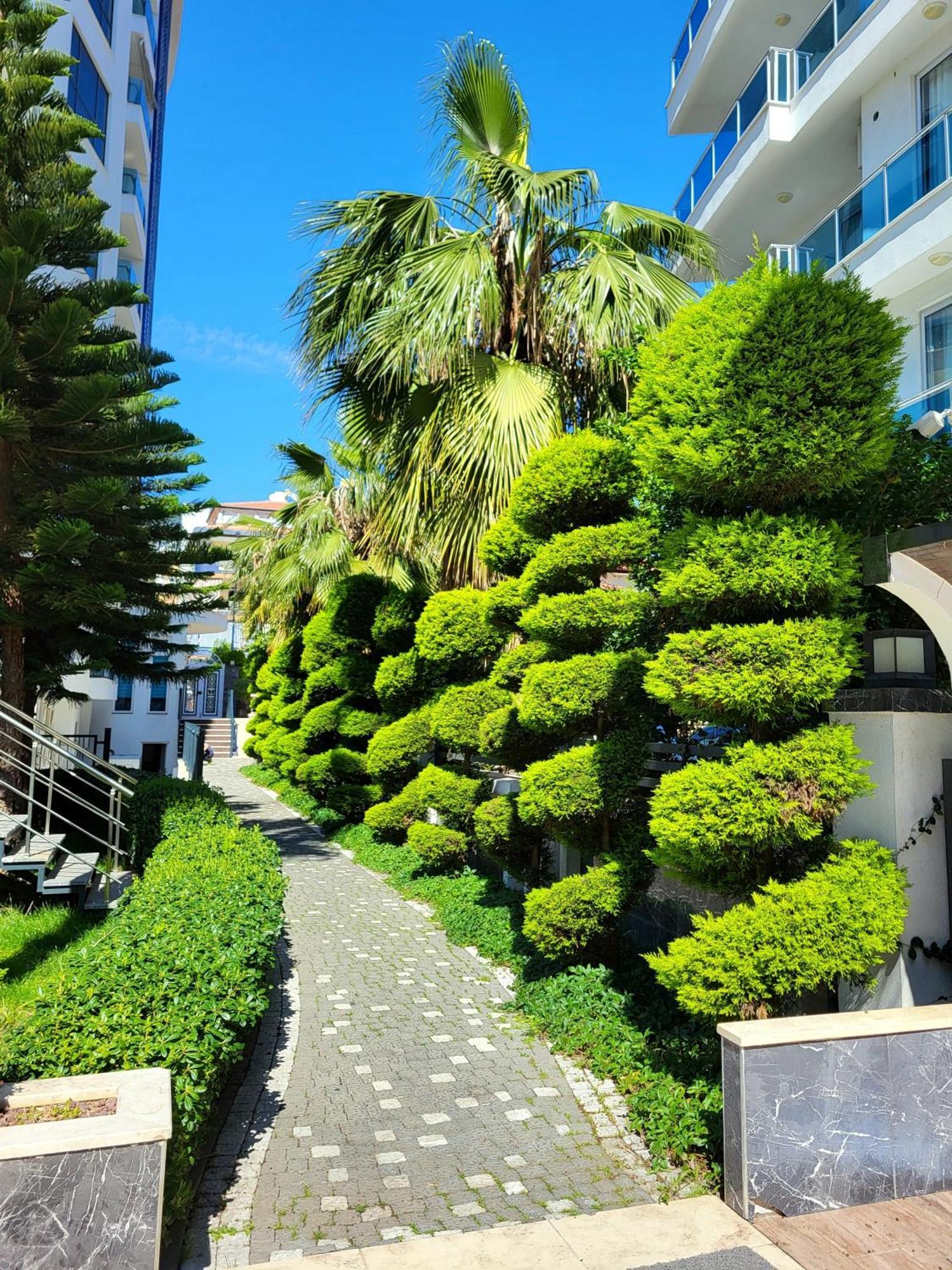 Elite Marine Residence - Cleopatra, center Alanya Esterno foto